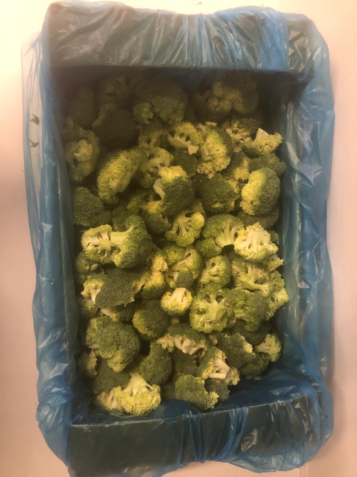 Imagen asociada a Brocoli Troceado.jpeg