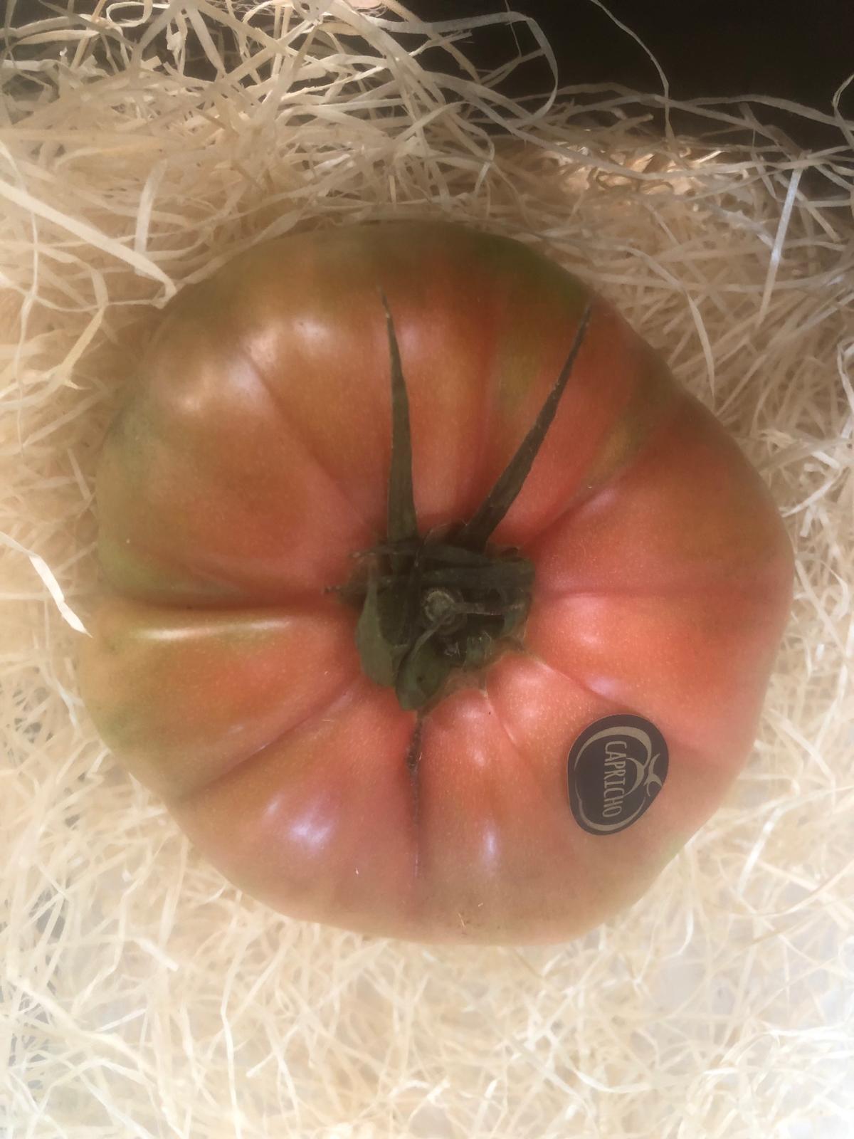 Imagen asociada a Tomate Solo.jpeg