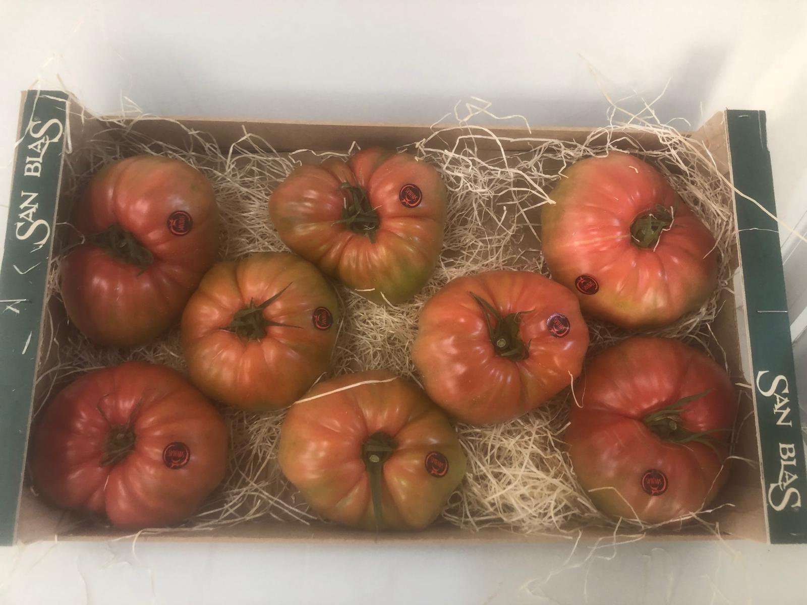 Imagen asociada a Tomate caja san blas.jpeg